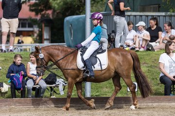Bild 13 - Pony Akademie Turnier